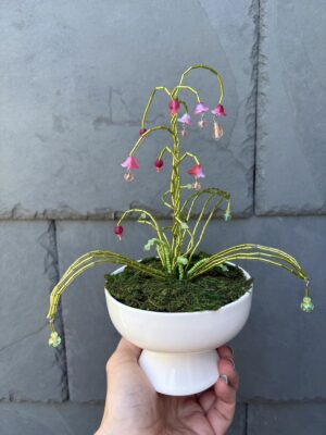Perleplante - stor lyserød